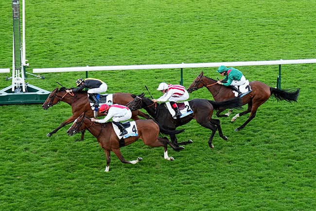 Photo d'arrivée de la course pmu PRIX DE THIBERVILLE à LONGCHAMP le Jeudi 19 juin 2025