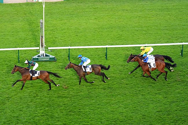 Photo d'arrivée de la course pmu PRIX DES AMAZONES - TROPHEE STUDIO HARCOURT à LONGCHAMP le Jeudi 19 juin 2025