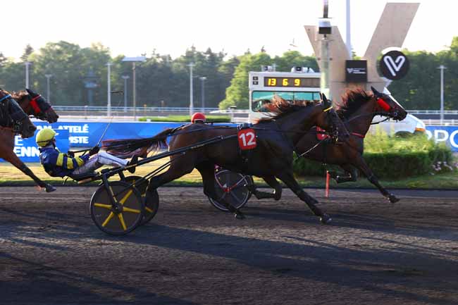 Photo d'arrivée de la course pmu PRIX TERPSICHORE à PARIS-VINCENNES le Vendredi 20 juin 2025