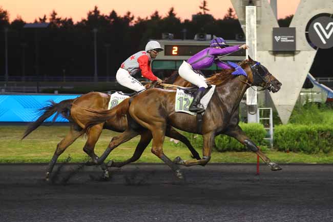 Photo d'arrivée de la course pmu PRIX CALLISTO à PARIS-VINCENNES le Vendredi 20 juin 2025