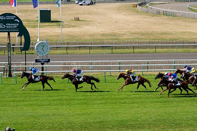 Photo d'arrivée de la course pmu PRIX DE L'ALLEE DE LA PETITE HAIE à CHANTILLY le Vendredi 20 juin 2025