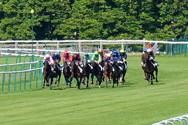 Photo d'arrivée de la course pmu PRIX DE L'ALLEE DES MERISIERS à CHANTILLY le Vendredi 20 juin 2025