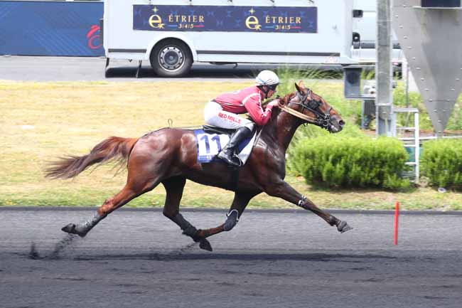 Photo d'arrivée de la course pmu PRIX D'ESSAI - ETRIER 3 ANS FINALE à PARIS-VINCENNES le Dimanche 22 juin 2025