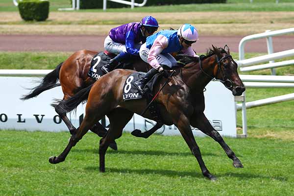 Photo d'arrivée de la course pmu GROUPE VULCAIN - PRIX DES IRIS à LYON PARILLY le Lundi 23 juin 2025