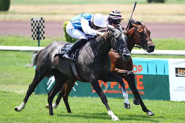 Photo d'arrivée de la course pmu LE PANAME DECINES - PRIX VALANJOU à LYON PARILLY le Lundi 23 juin 2025