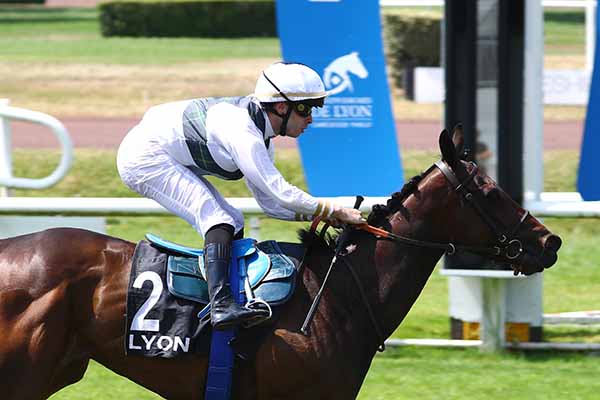 Photo d'arrivée de la course pmu FONDATION POMPIDOU - PRIX LAURENT DESCOURS à LYON PARILLY le Lundi 23 juin 2025