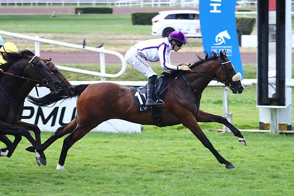 Photo d'arrivée de la course pmu PRIX DU CENTRE D'ENTRAINEMENT DE CHAZEY à LYON PARILLY le Lundi 23 juin 2025