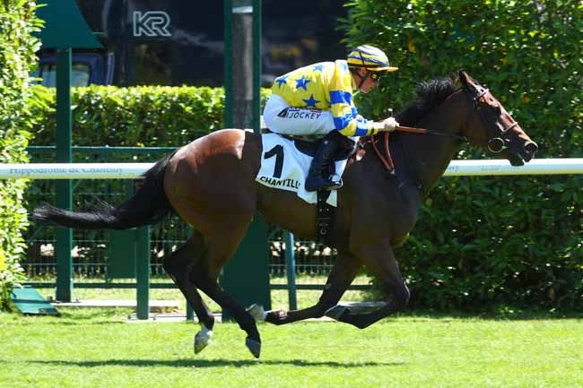 Photo d'arrivée de la course pmu PRIX DU BOIS DU GUEY à CHANTILLY le Mardi 24 juin 2025