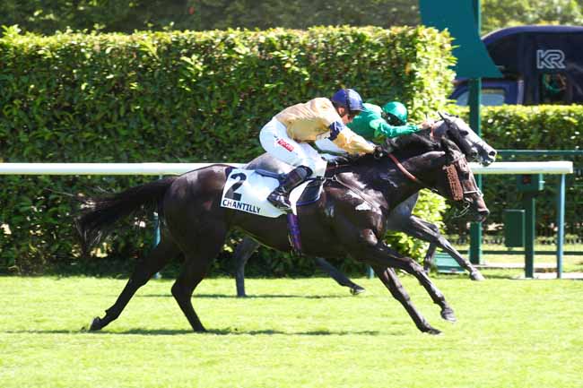Photo d'arrivée de la course pmu PRIX HAMPTON à CHANTILLY le Mardi 24 juin 2025