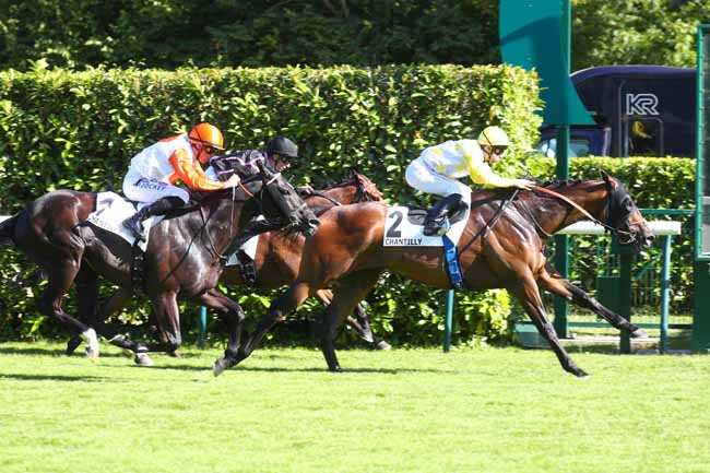 Arrivée quinté pmu PRIX DE LA FORET DE CHANTILLY à CHANTILLY