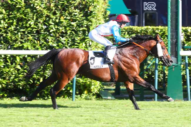 Photo d'arrivée de la course pmu PRIX DE LA FORET D'ERMENONVILLE à CHANTILLY le Mardi 24 juin 2025