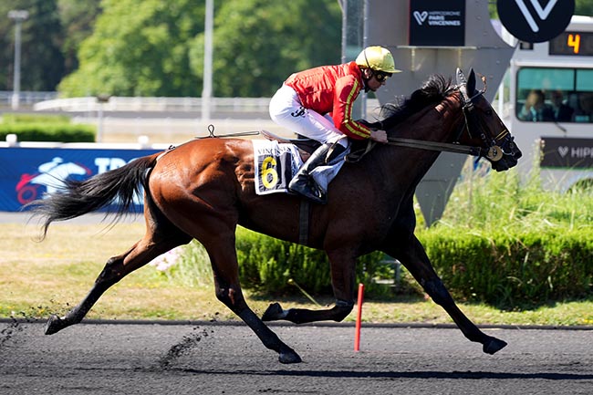 Photo d'arrivée de la course pmu PRIX SAPIENTIA à PARIS-VINCENNES le Mardi 24 juin 2025