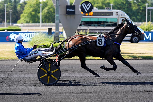 Photo d'arrivée de la course pmu PRIX NUNKY à PARIS-VINCENNES le Mardi 24 juin 2025