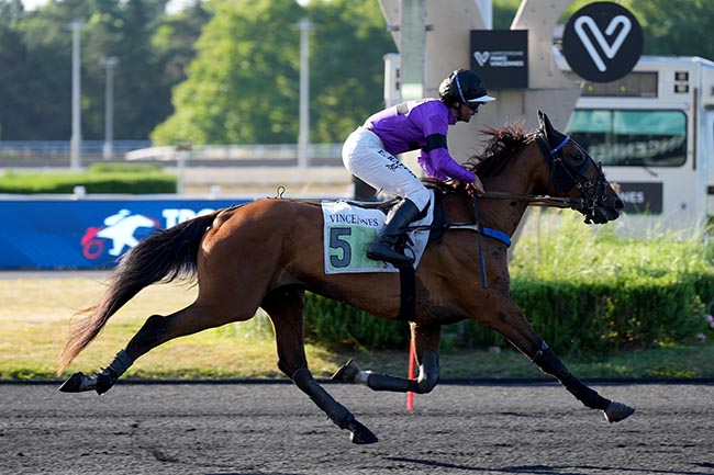Photo d'arrivée de la course pmu PRIX ISTRIA à PARIS-VINCENNES le Mardi 24 juin 2025