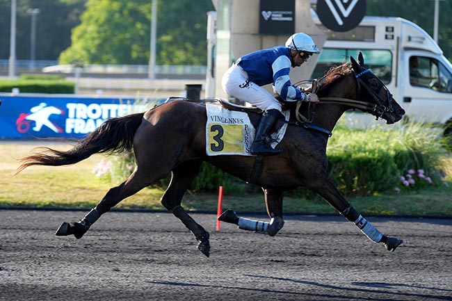 Photo d'arrivée de la course pmu PRIX ALGINA à PARIS-VINCENNES le Mardi 24 juin 2025