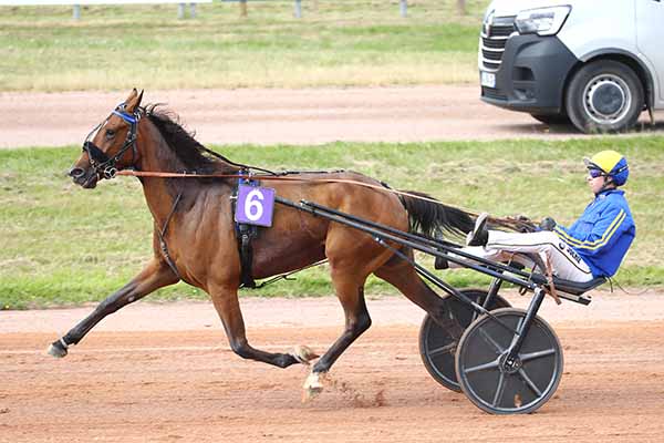 Photo d'arrivée de la course pmu PRIX BAR-PMU AU VIEUX PUITS - VILLERS-BOCAGE à VIRE le Mercredi 25 juin 2025