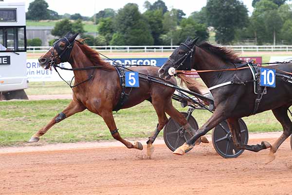 Photo d'arrivée de la course pmu PRIX DANIEL MOQUET - SOULEUVRE-EN-BOCAGE à VIRE le Mercredi 25 juin 2025