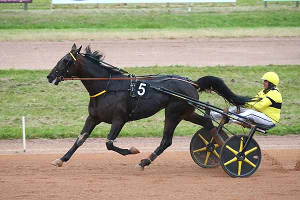 Photo d'arrivée de la course pmu PRIX OPTIQUE KRYS - YANNICK PIERRE à VIRE le Mercredi 25 juin 2025