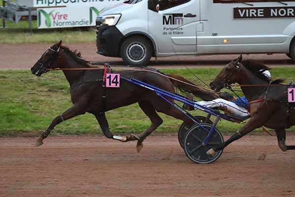 Photo d'arrivée de la course pmu PRIX INTERMARCHE - VIRE NORMANDIE à VIRE le Mercredi 25 juin 2025