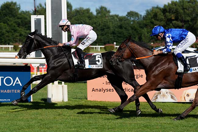 Photo d'arrivée de la course pmu PRIX DE LA VILLE D'ARCACHON (PRIX REVERDY NUTRITION EQUINE) à LA TESTE DE BUCH le Jeudi 26 juin 2025