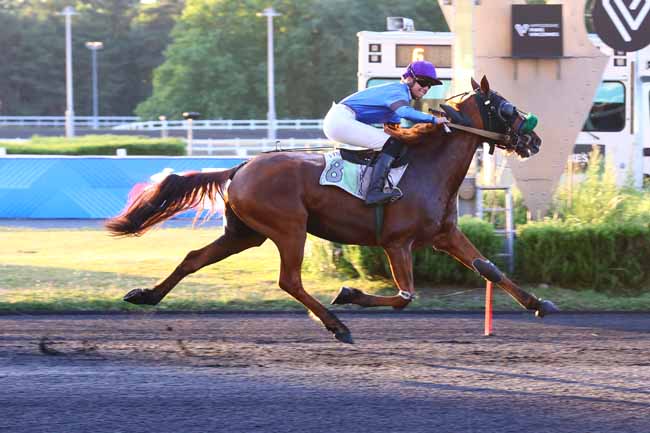 Photo d'arrivée de la course pmu PRIX FURNERIUS à PARIS-VINCENNES le Vendredi 27 juin 2025