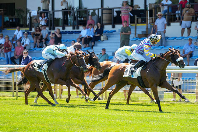Photo d'arrivée de la course pmu PRIX DE L'HIPPODROME DE POMPADOUR à LA TESTE DE BUCH le Vendredi 27 juin 2025