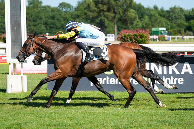 Photo d'arrivée de la course pmu PRIX NATURAL BODY TAN à LA TESTE DE BUCH le Vendredi 27 juin 2025