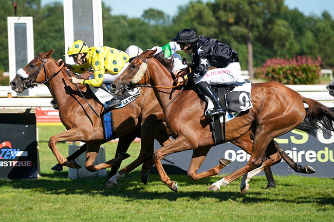 Photo d'arrivée de la course pmu OMNIUM DES ANGLO-ARABES A 12.5 % à LA TESTE DE BUCH le Vendredi 27 juin 2025