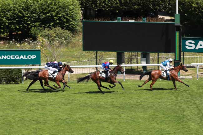 Photo d'arrivée de la course pmu PRIX AMBER RAMA à SAINT CLOUD le Dimanche 29 juin 2025