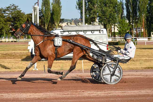 Photo d'arrivée de la course pmu PRIX DE BESSAY-SUR-ALLIER à VICHY le Mardi 1 juillet 2025