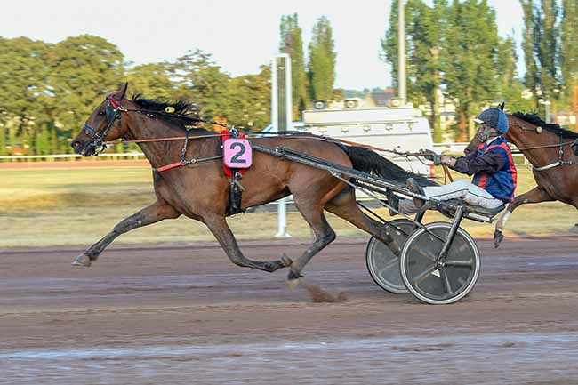 Photo d'arrivée de la course pmu GRAND PRIX DU CONSEIL MUNICIPAL à VICHY le Mardi 1 juillet 2025