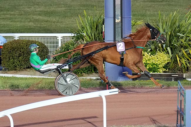 Photo d'arrivée de la course pmu PRIX DE L'ARDECHE à ENGHIEN le Mercredi 2 juillet 2025