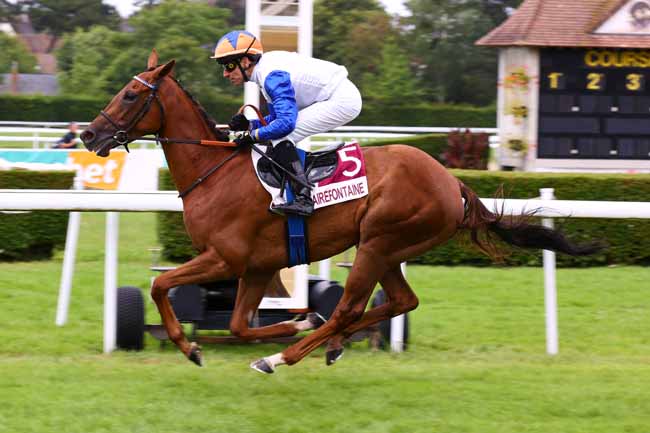 Photo d'arrivée de la course pmu PRIX DE LA VILLE DE BENERVILLE (PRIX VALE) à CLAIREFONTAINE le Mercredi 2 juillet 2025