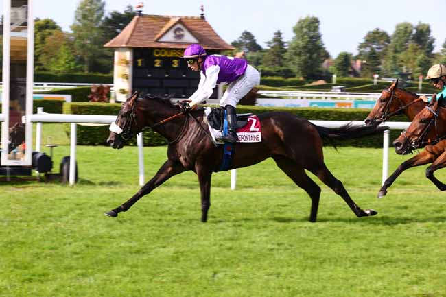 Photo d'arrivée de la course pmu PRIX DE LA VILLE DE TROUVILLE-SUR-MER (PRIX DE LA FONTAINE SAINTE-MARIE) à CLAIREFONTAINE le Mercredi 2 juillet 2025