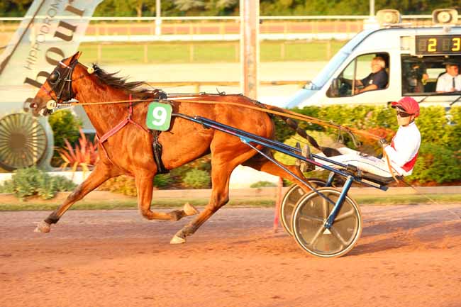 Photo d'arrivée de la course pmu PRIX DE PORTBAIL à CABOURG le Vendredi 4 juillet 2025