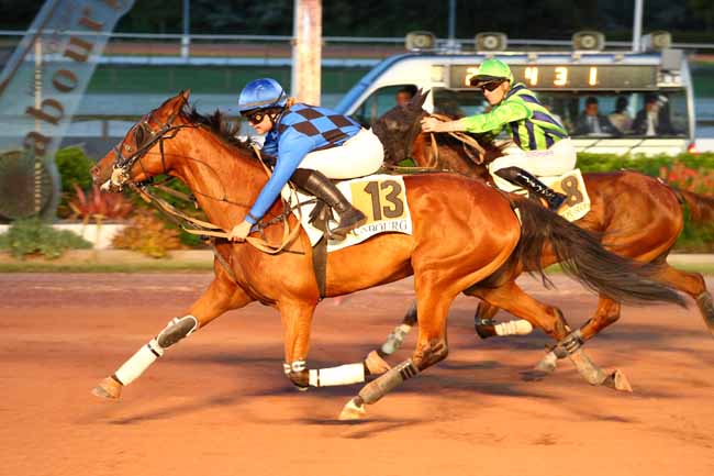 Photo d'arrivée de la course pmu PRIX DE GENETS à CABOURG le Vendredi 4 juillet 2025