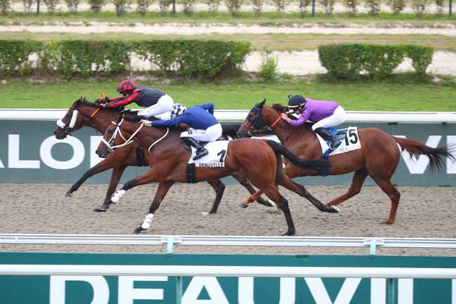 Photo d'arrivée de la course pmu PRIX DE ROCHEVILLE à DEAUVILLE le Samedi 5 juillet 2025