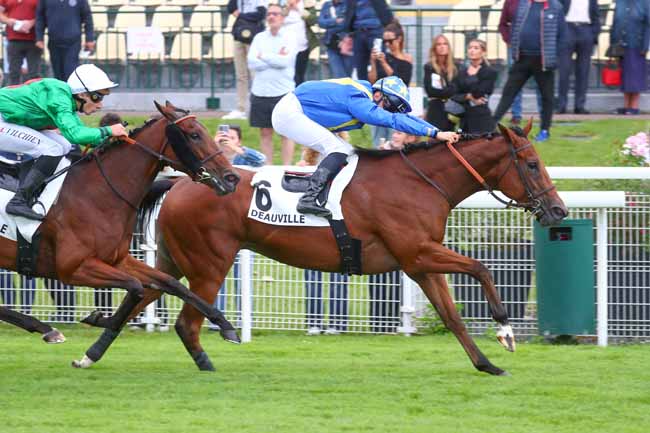 Photo d'arrivée de la course pmu PRIX DE LA LORETTE à DEAUVILLE le Dimanche 6 juillet 2025