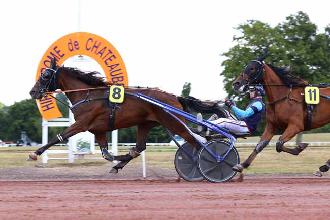 Photo d'arrivée de la course pmu PRIX NIMROD BOREALIS à CHATEAUBRIANT le Lundi 7 juillet 2025