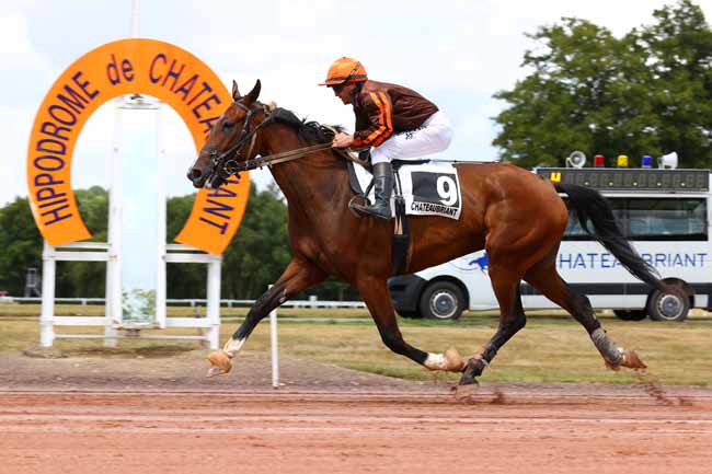 Photo d'arrivée de la course pmu PRIX DE L'ESPERANCE à CHATEAUBRIANT le Lundi 7 juillet 2025
