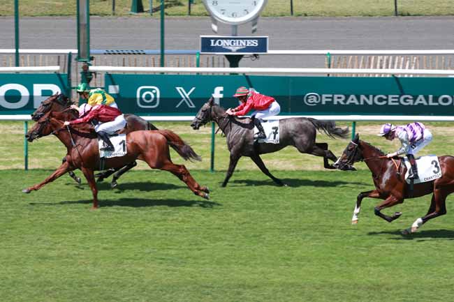 Photo d'arrivée de la course pmu PRIX DE LA MARDELLE à CHANTILLY le Mardi 8 juillet 2025