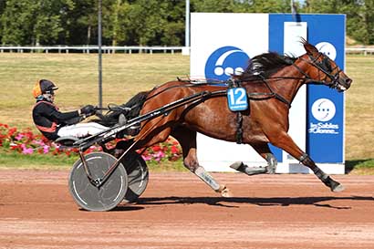 Arrivée quinté pmu PRIX DES SABLES-D'OLONNE à LES SABLES D'OLONNE
