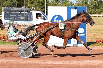 Photo d'arrivée de la course pmu PRIX VENDEE LE DEPARTEMENT à LES SABLES D'OLONNE le Mercredi 9 juillet 2025