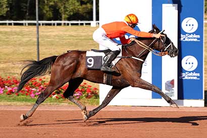 Photo d'arrivée de la course pmu PRIX STAND ANIMATION PMU à LES SABLES D'OLONNE le Mercredi 9 juillet 2025