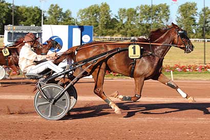 Photo d'arrivée de la course pmu PRIX DE LA SOCIETE DU TROTTEUR FRANCAIS à LES SABLES D'OLONNE le Mercredi 9 juillet 2025