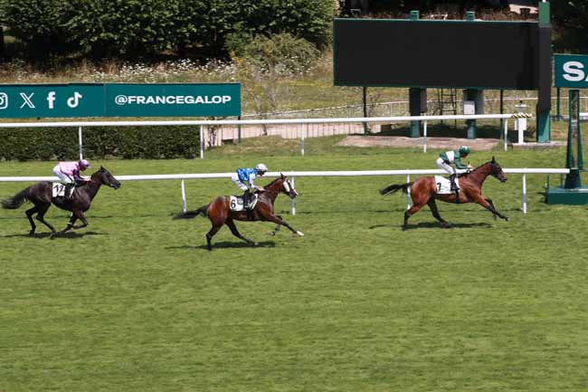 Photo d'arrivée de la course pmu PRIX DE COULOMMIERS à SAINT CLOUD le Mercredi 9 juillet 2025