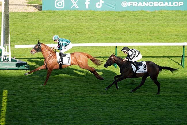 Photo d'arrivée de la course pmu PRIX HOCQUELUS à LONGCHAMP le Jeudi 10 juillet 2025