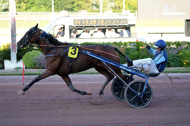 Arrivée quinté pmu PRIX DES HELLEBORES à CABOURG