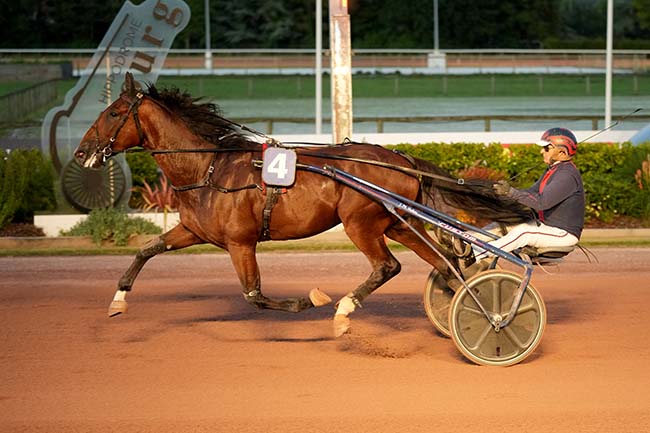Photo d'arrivée de la course pmu PRIX DES LEUCANTHEMES à CABOURG le Vendredi 11 juillet 2025