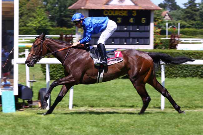 Photo d'arrivée de la course pmu PRIX DE LA CONFRERIE DES CHEVALIERS DU LIVAROT (PRIX DE LA POINTE PERCEE) à CLAIREFONTAINE le Vendredi 11 juillet 2025